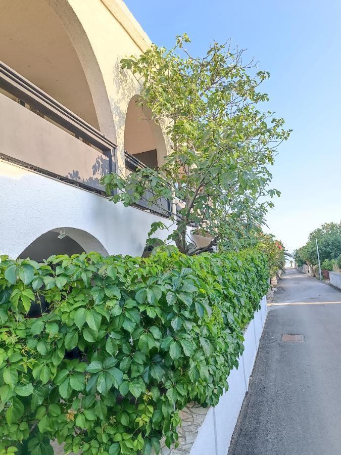 Apartments Branka- 4 Apartments In House- 1 Apartment Has Jacuzzi Vir Εξωτερικό φωτογραφία